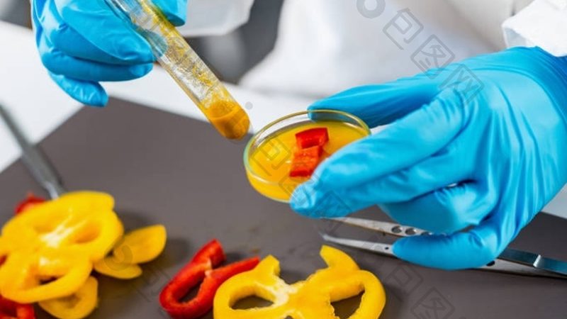 食品批发报价单模板：如何准确评估免费批发机会
